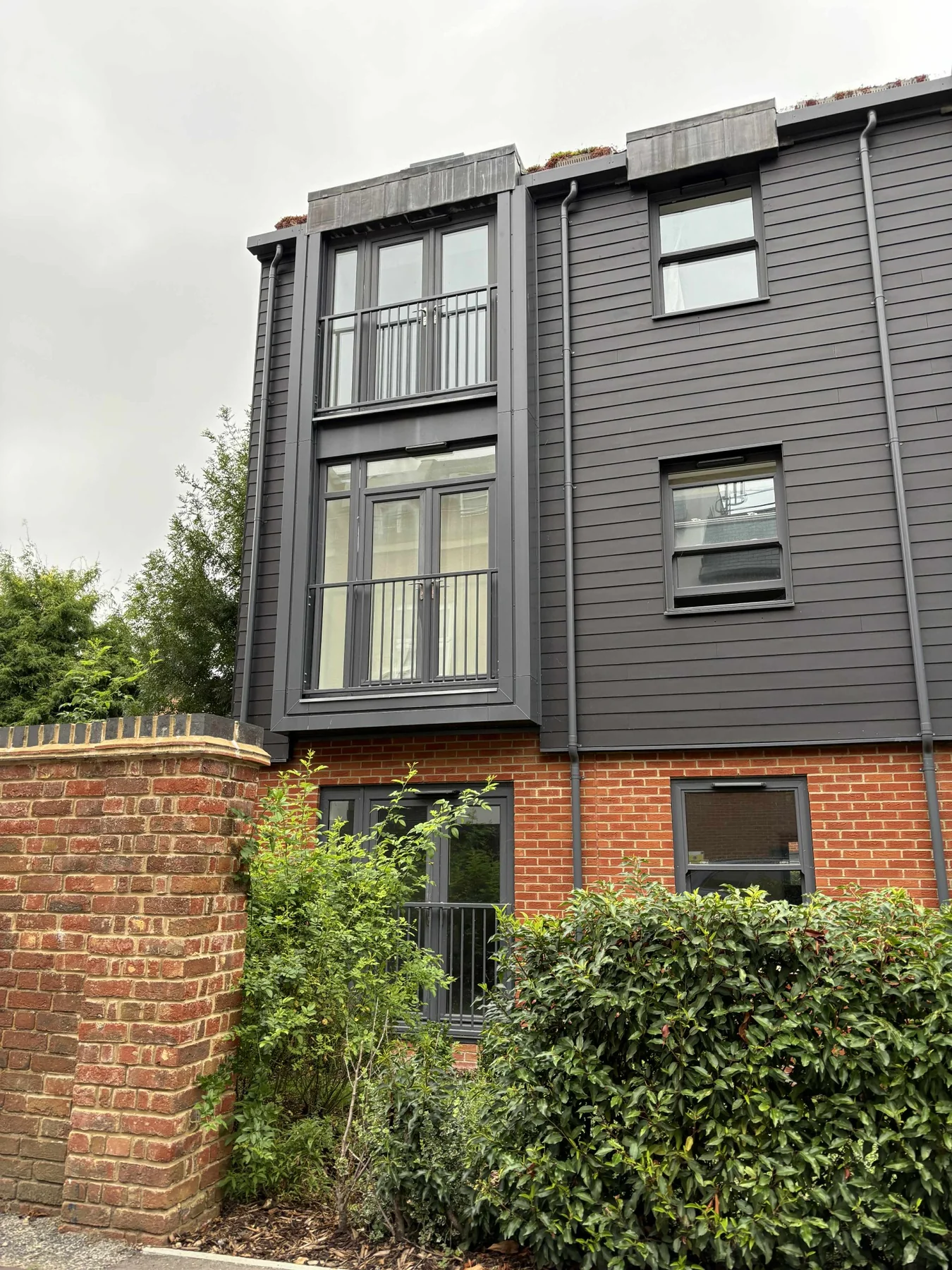 Black cladding development